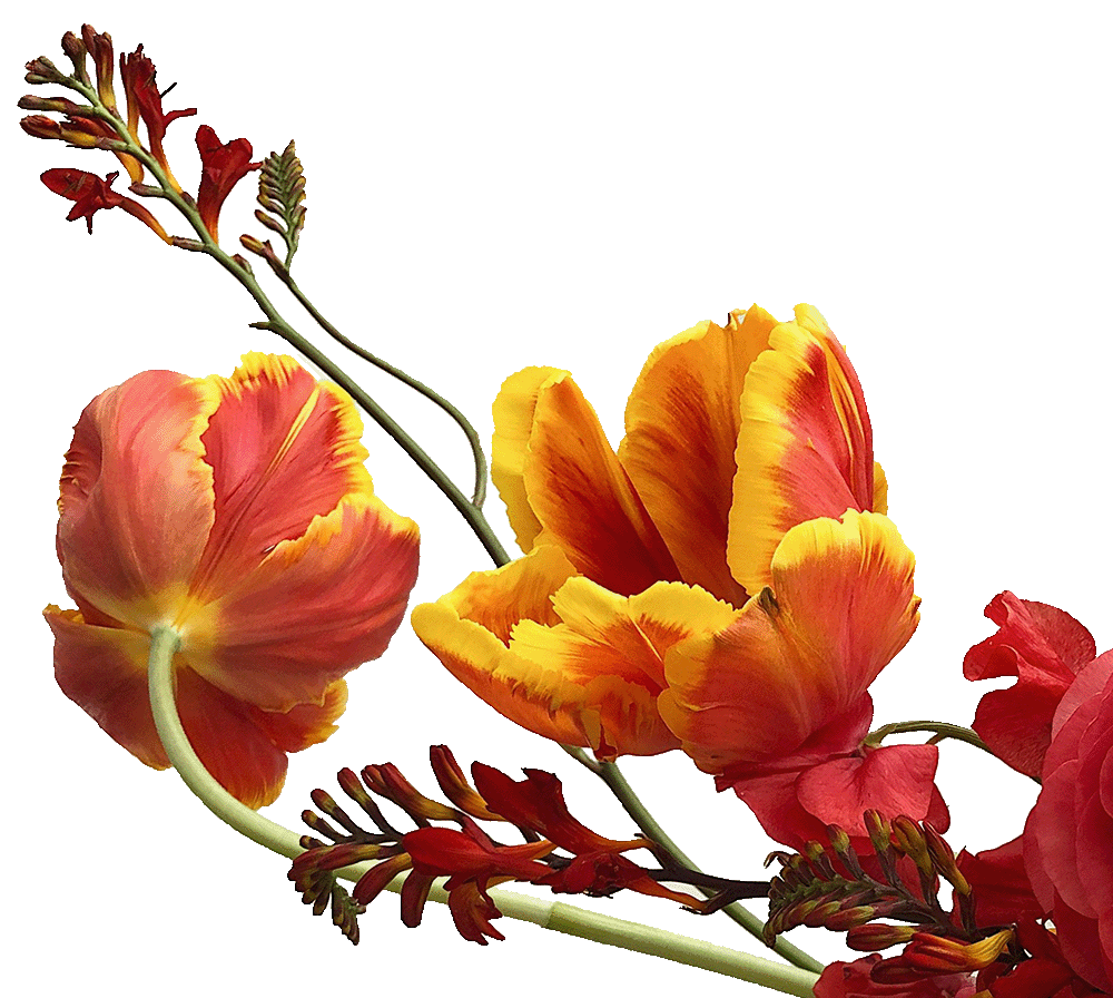 Blumenarrangement in orange Blumenarrangement in orange