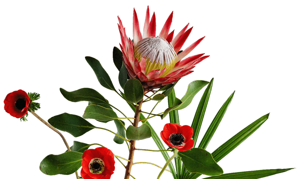 Blumenarrangement mit grünen Blättern und roten Blüten Blumenarrangement mit grünen Blättern und roten Blüten